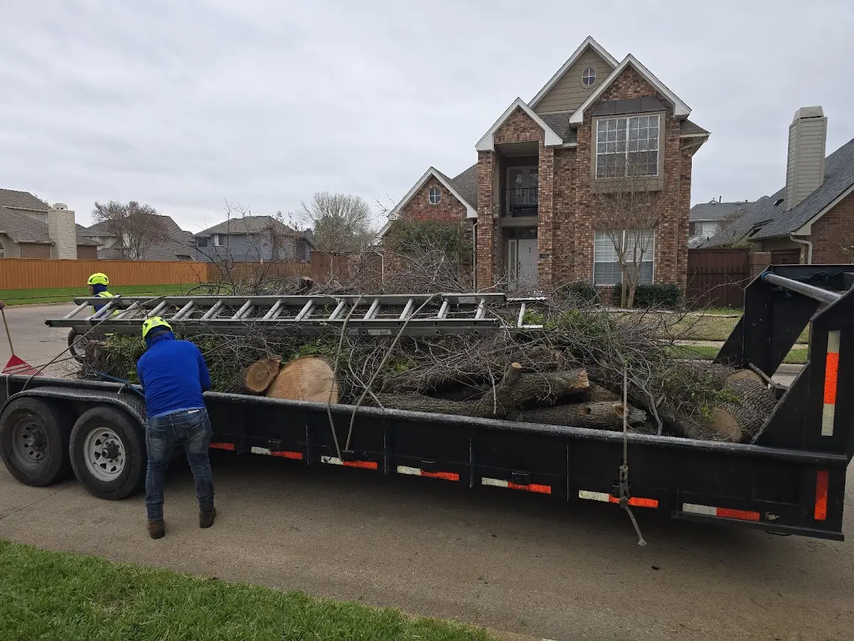 Expert Lot Clearing with proper safety equipment in Bridgeport